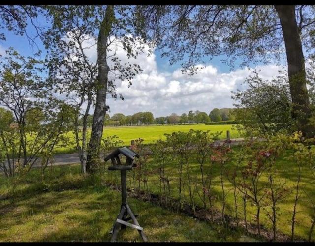 Hotel Tiny House In De Wei Holten Exterior foto